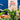 best Chinese restaurant for vegetarians
