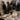 Behind the Scenes Dim Sum Catering