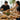 Company Lunch Catering