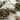 Mongolian Beef vs. Beef and Broccoli