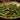 sautéed vs. steamed green beans