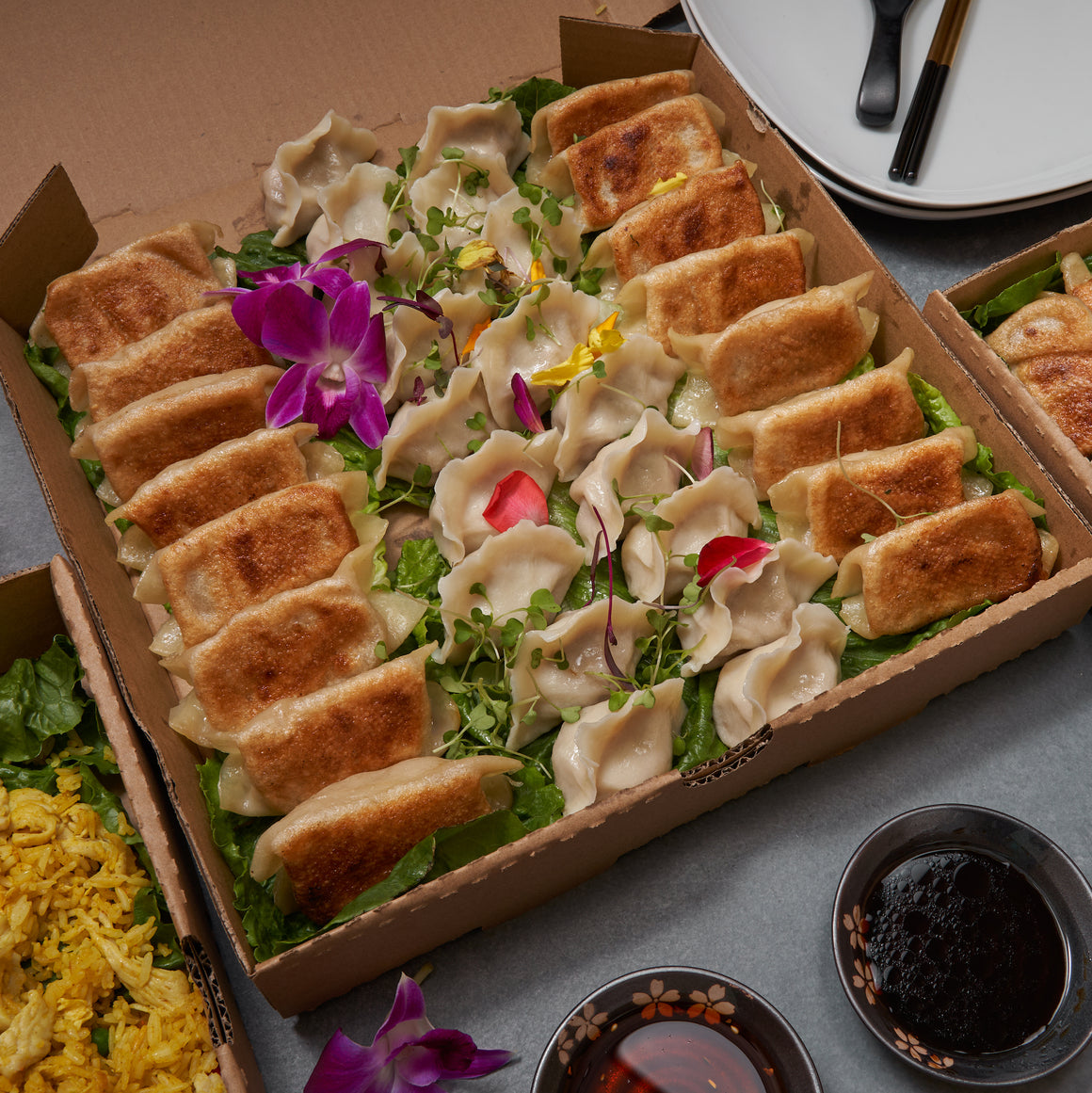 1 Choice Potstickers + 1 Choice Dumplings [Catering Box] - United Dumplings